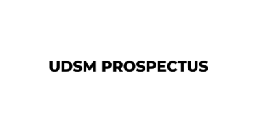 UDSM Students Prospectus 2026/2027 PDF